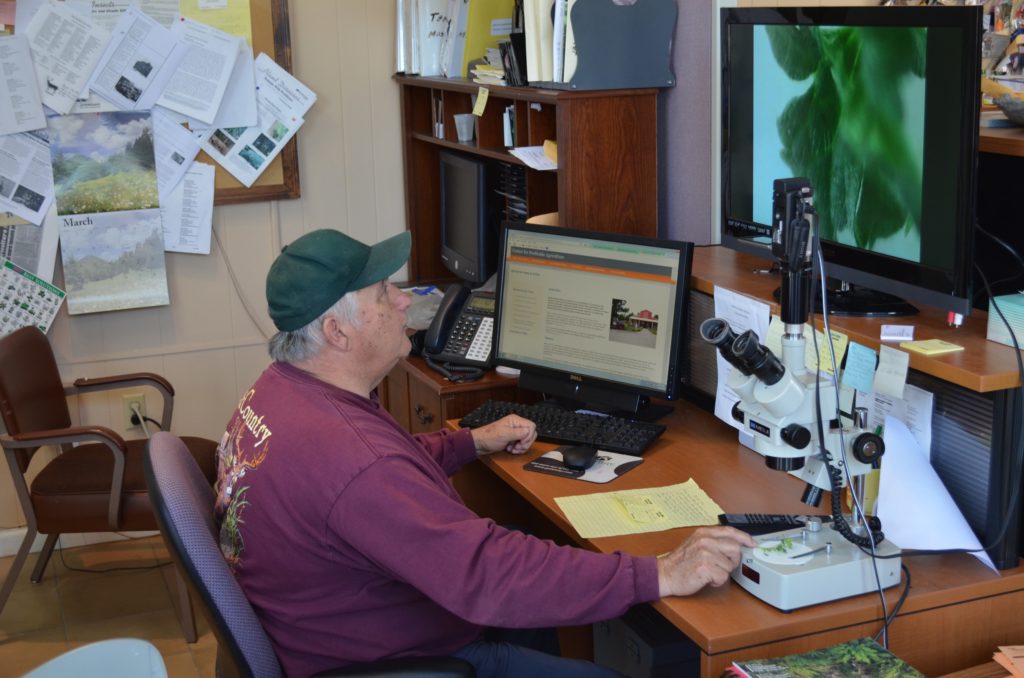 UT Master Gardener help desk diagnosing a speciman under a microscope